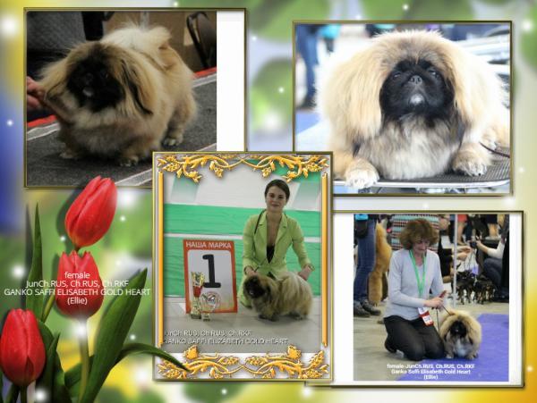 Прикрепленное изображение: post-1010-060293800 1717678422_thumb.jpg